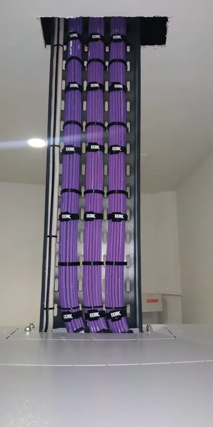 A violet cable trunk of three combed bundles passing through a ceiling penetration onto a wall-mounted ladder tray, banded at even intervals