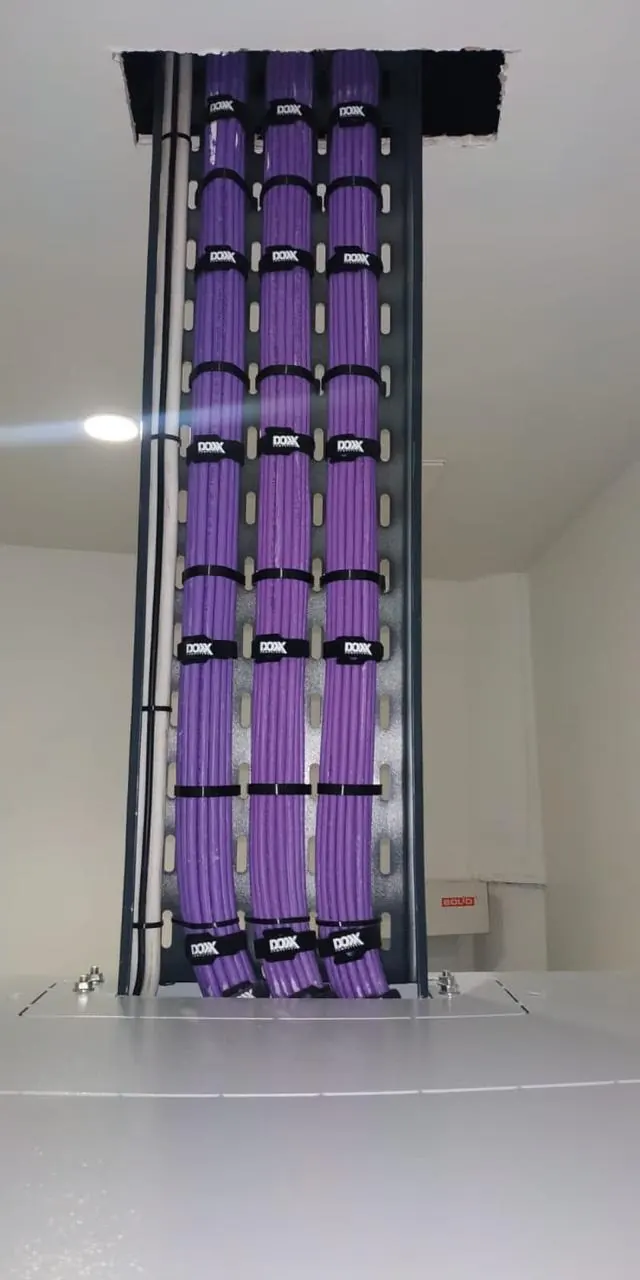A violet cable trunk of three combed bundles passing through a ceiling penetration onto a wall-mounted ladder tray, banded at even intervals